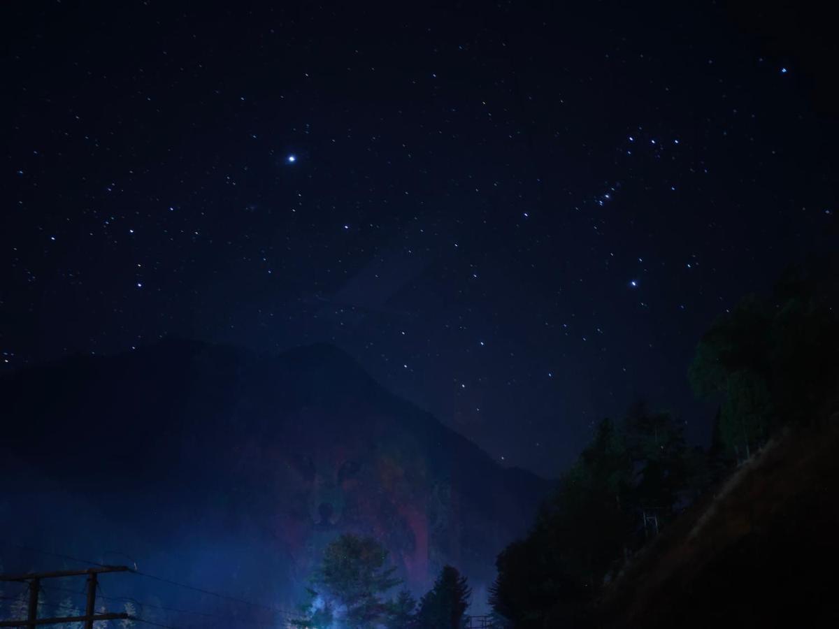 Snow View Guest House Kasol Bagian luar foto