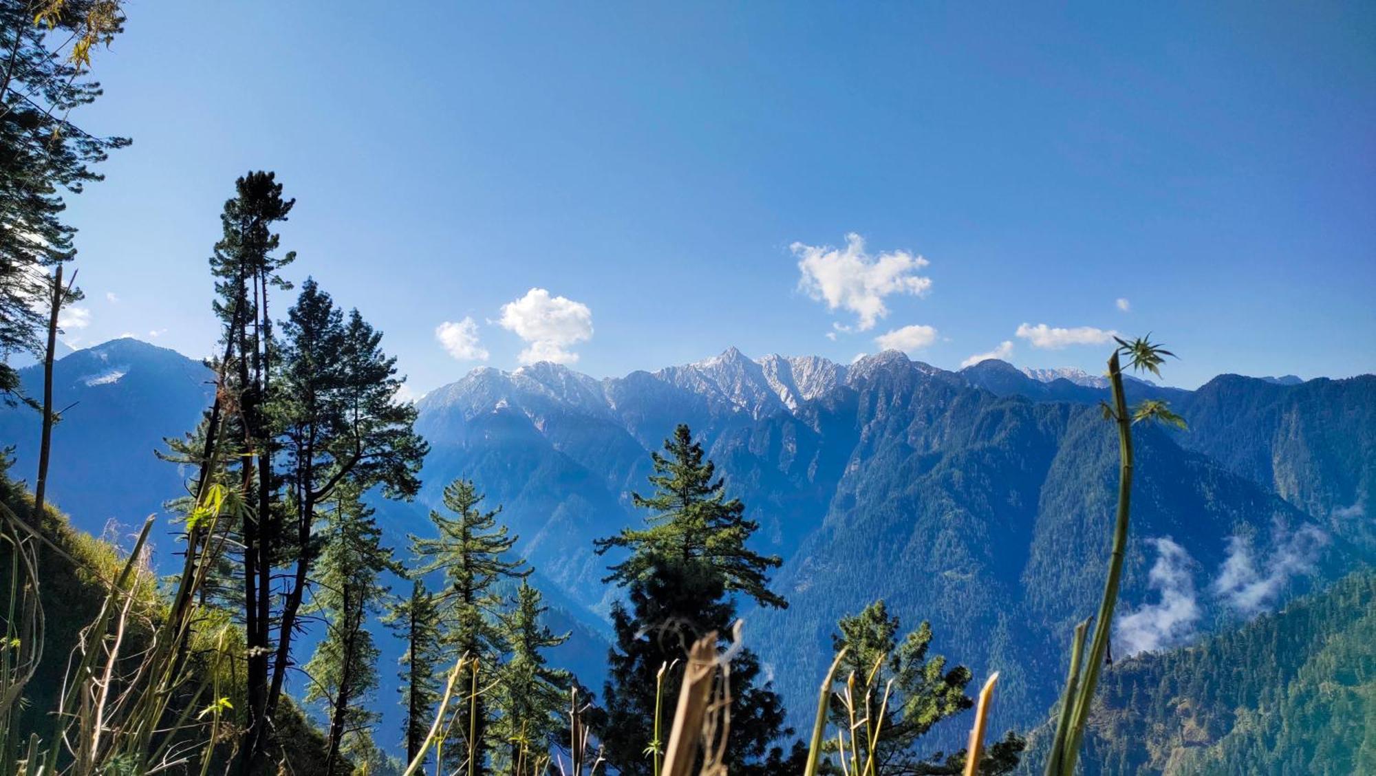 Snow View Guest House Kasol Bagian luar foto