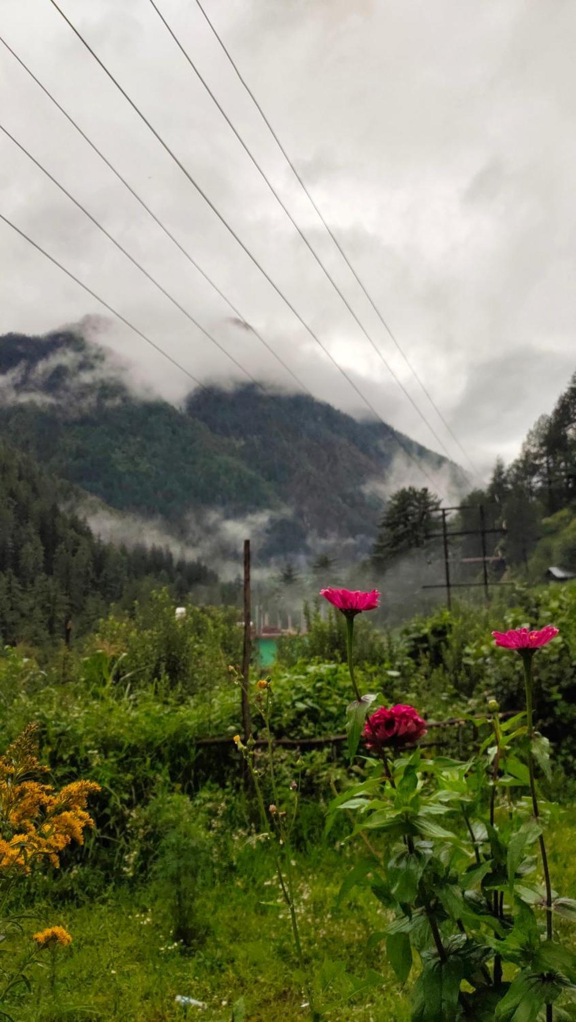 Snow View Guest House Kasol Ruang foto